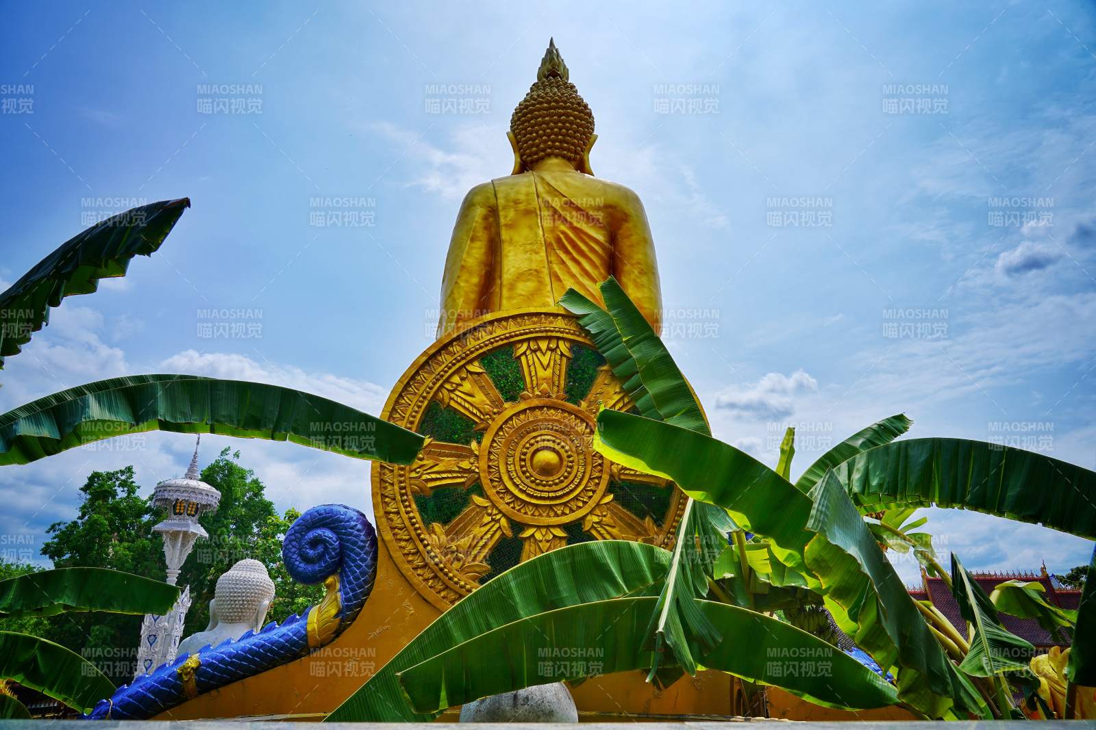 金色佛像与绿叶相映图片