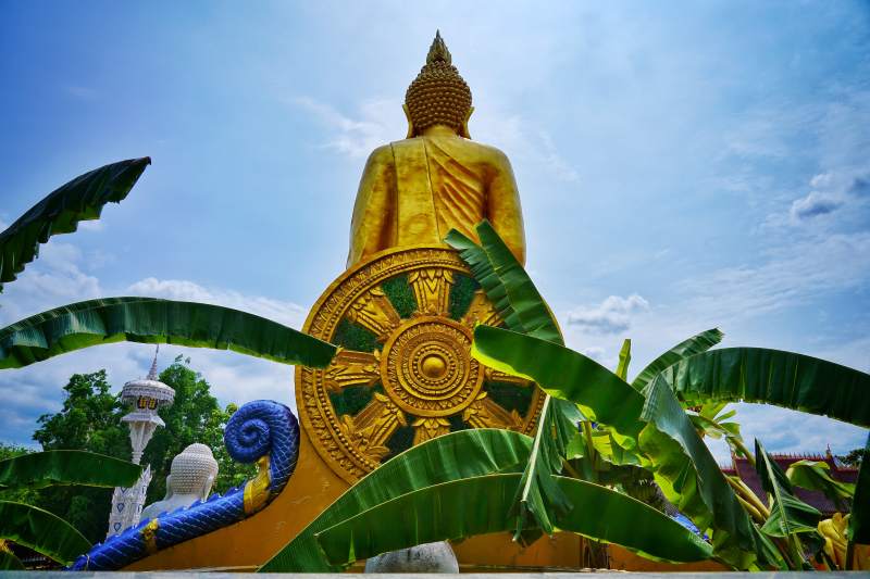 金色佛像与绿叶相映图片