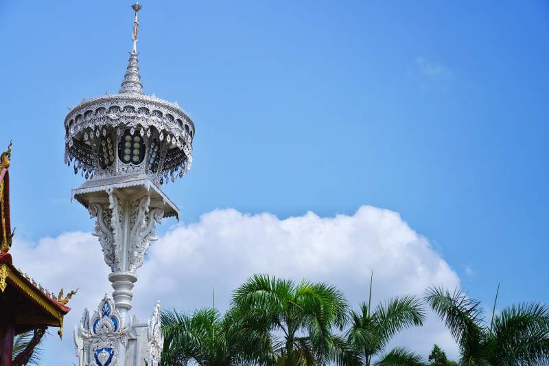 白塔蓝天映翠棕图片