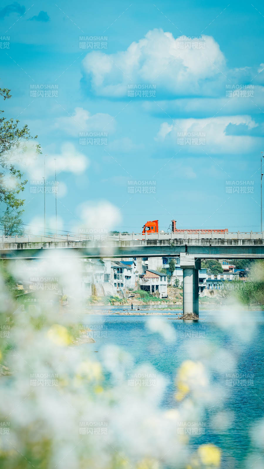 桥上红车过 花影映碧水图片