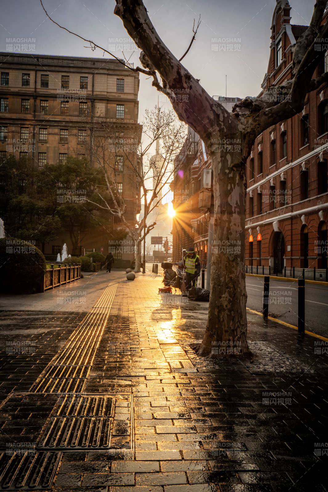晨光中的城市街景图片