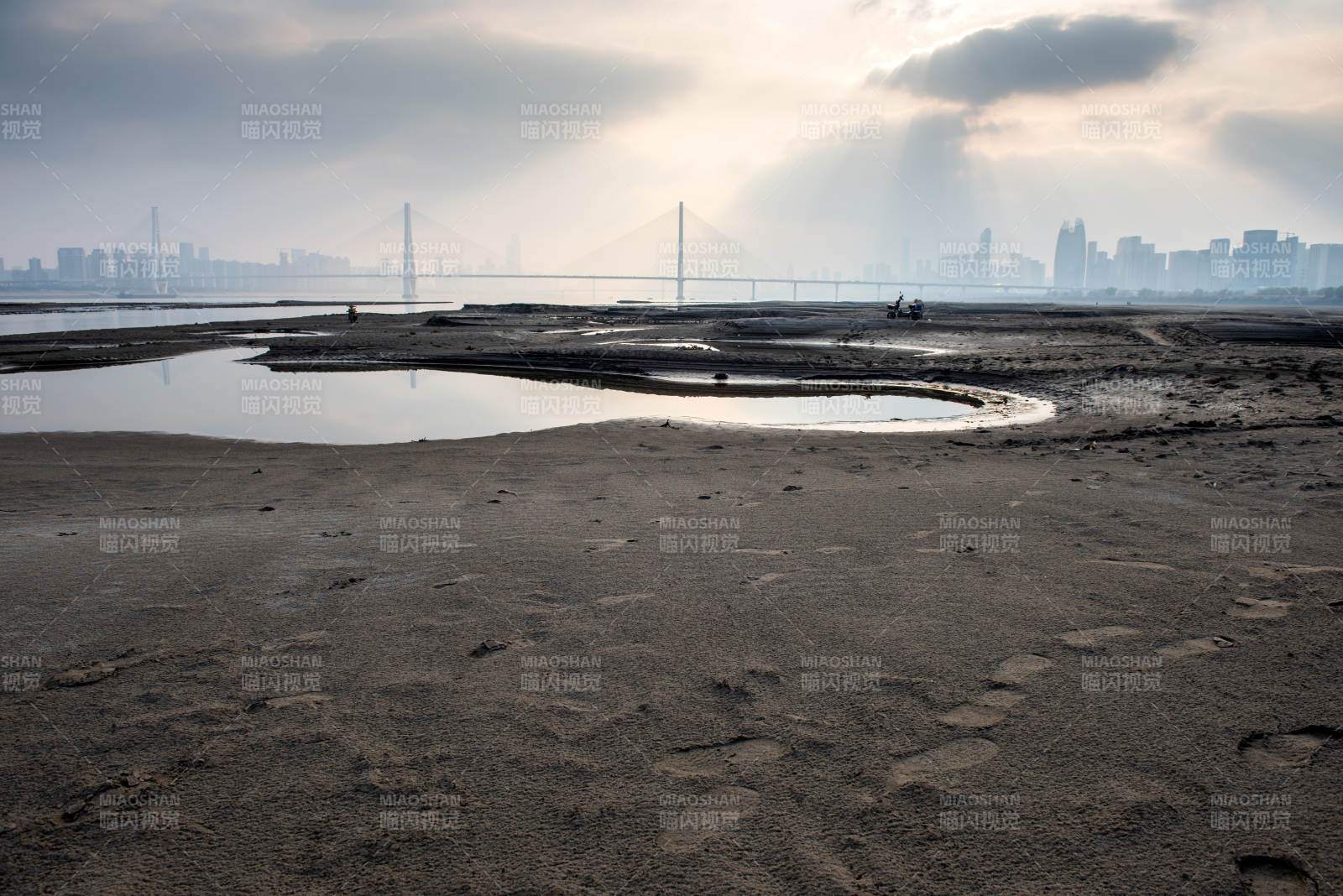 城市天际线下的滩涂图片