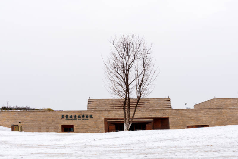 雪中孤树与建筑图片