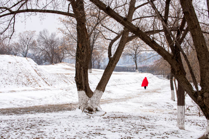 雪径红衣行图片