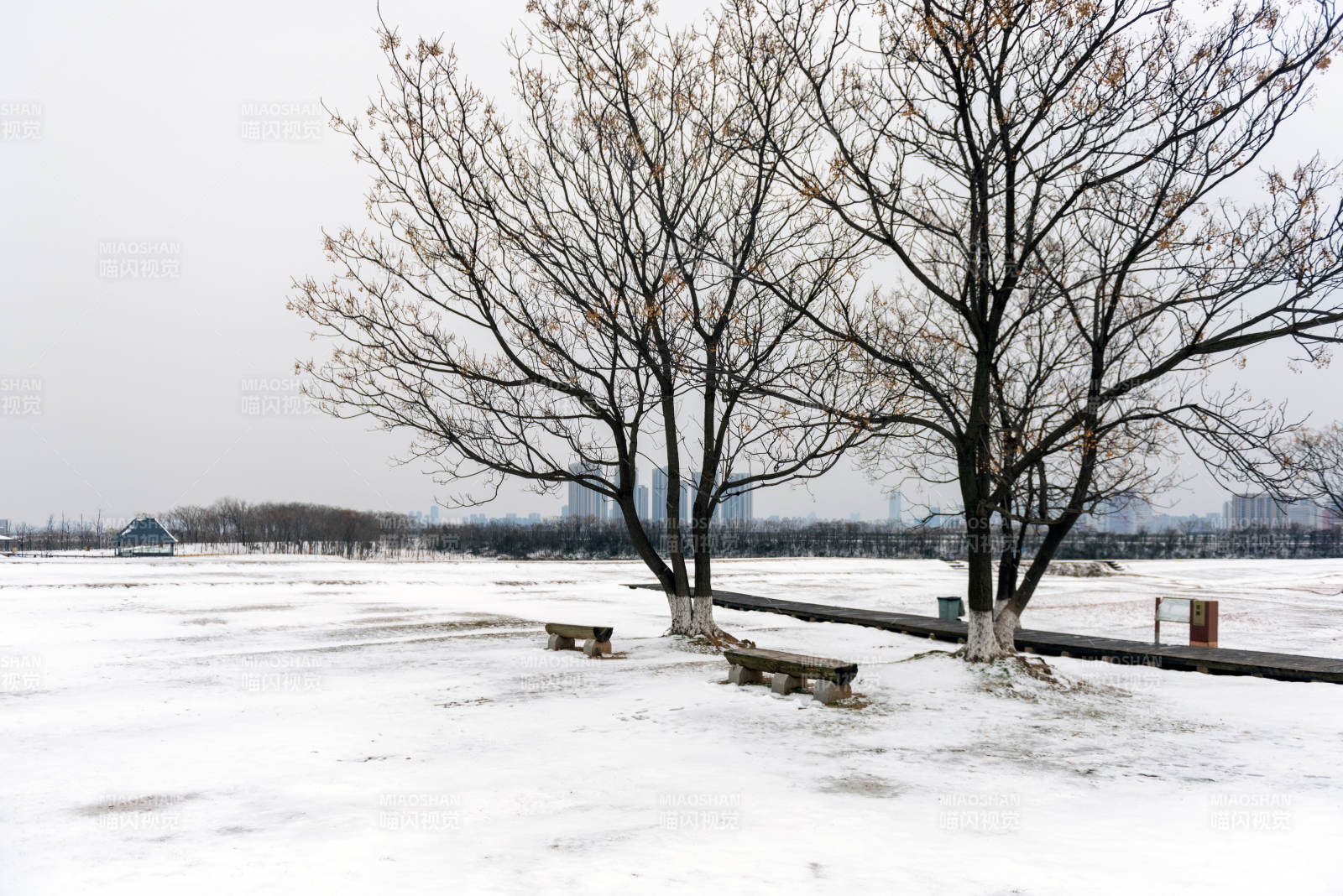 雪地孤树静景图片