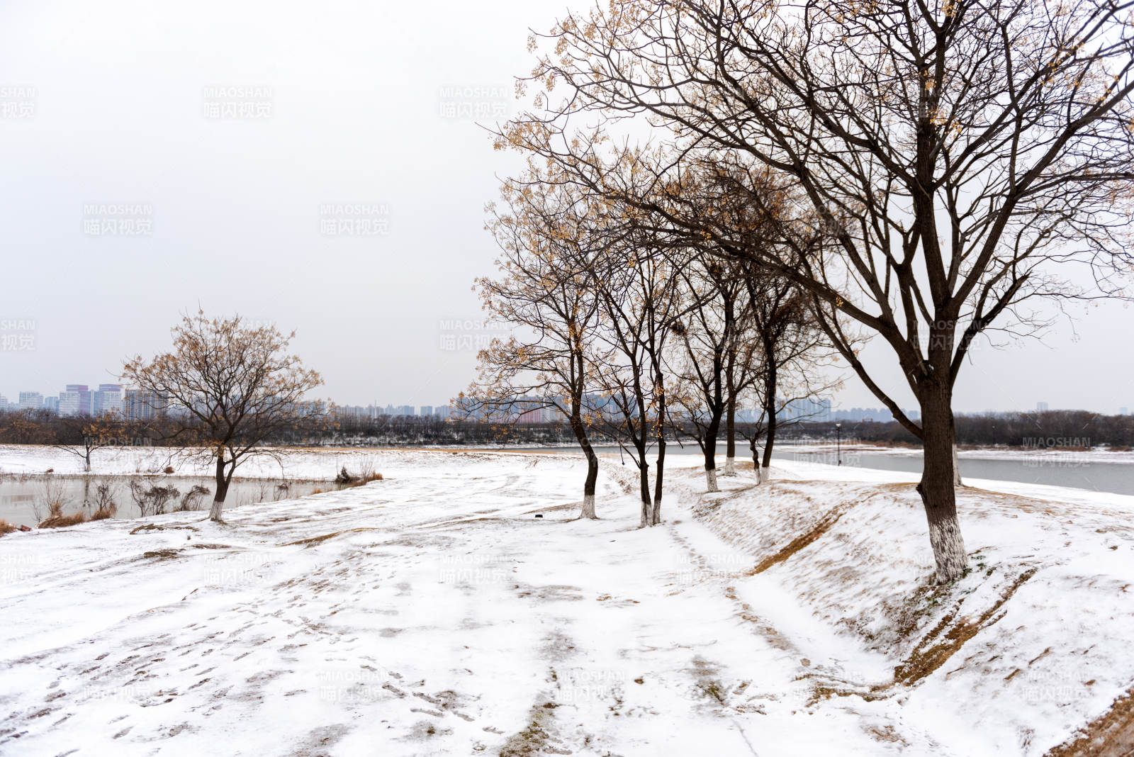 雪后河畔树影图片