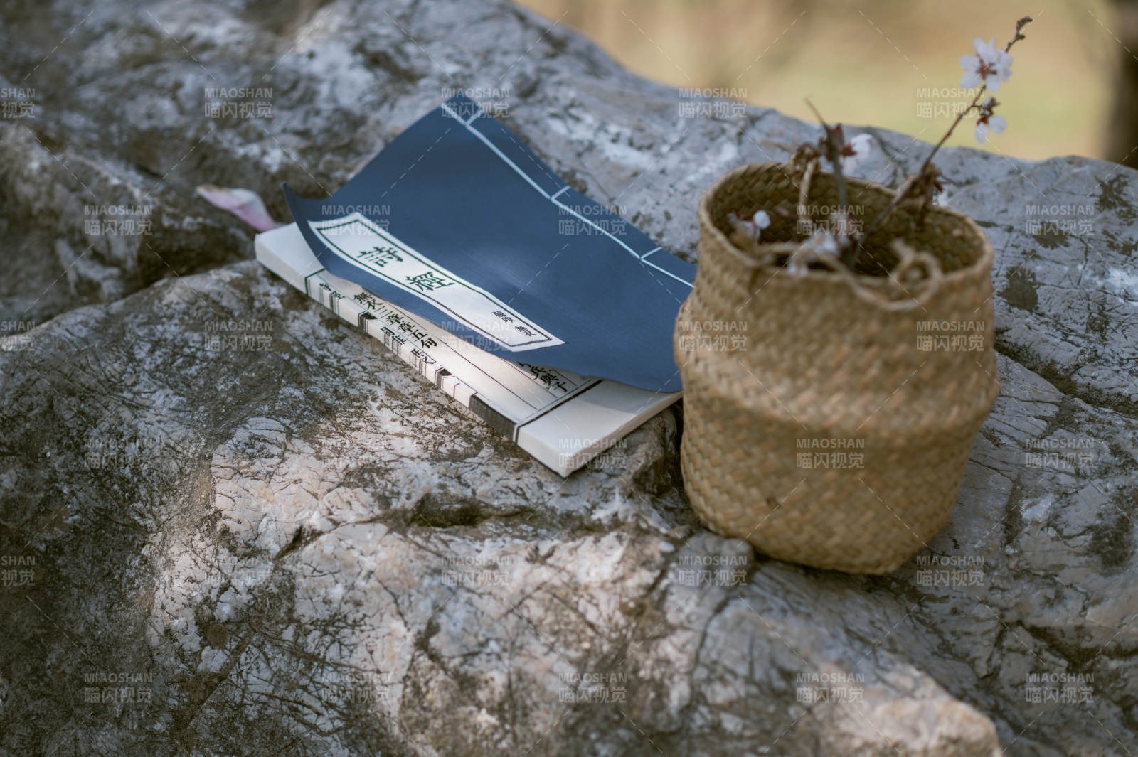 石上书与花盆图片