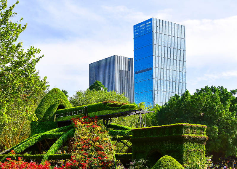 绿雕与高楼相映图片