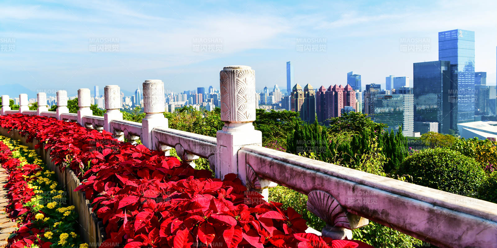 花海映城景图片