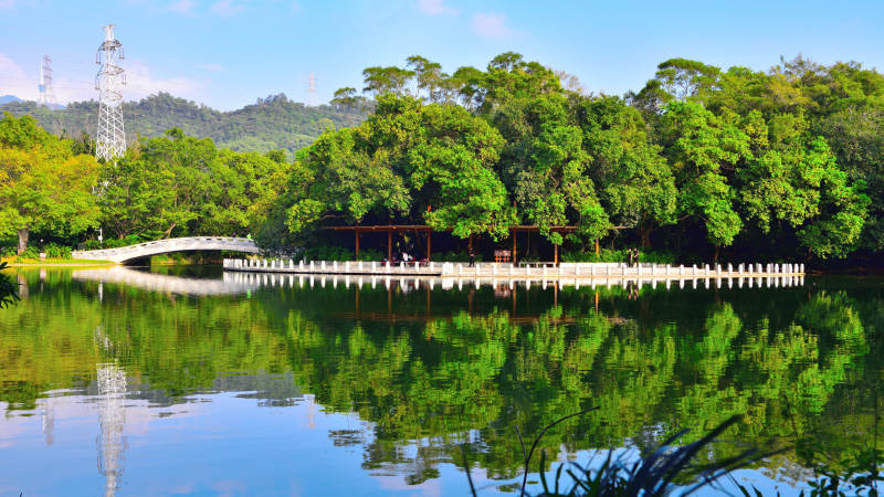 湖光山色映桥影图片