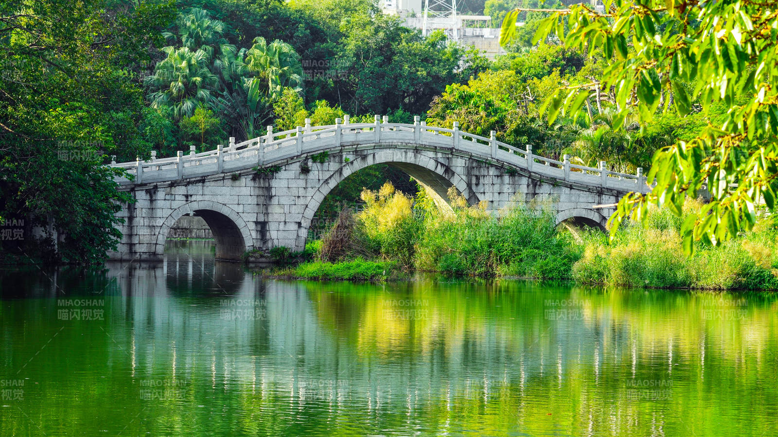 绿湖石桥映翠影图片