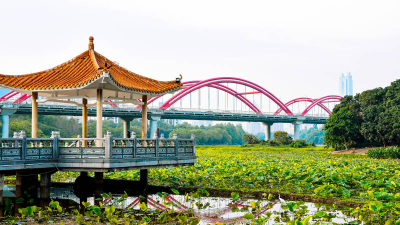 亭桥映荷塘图片