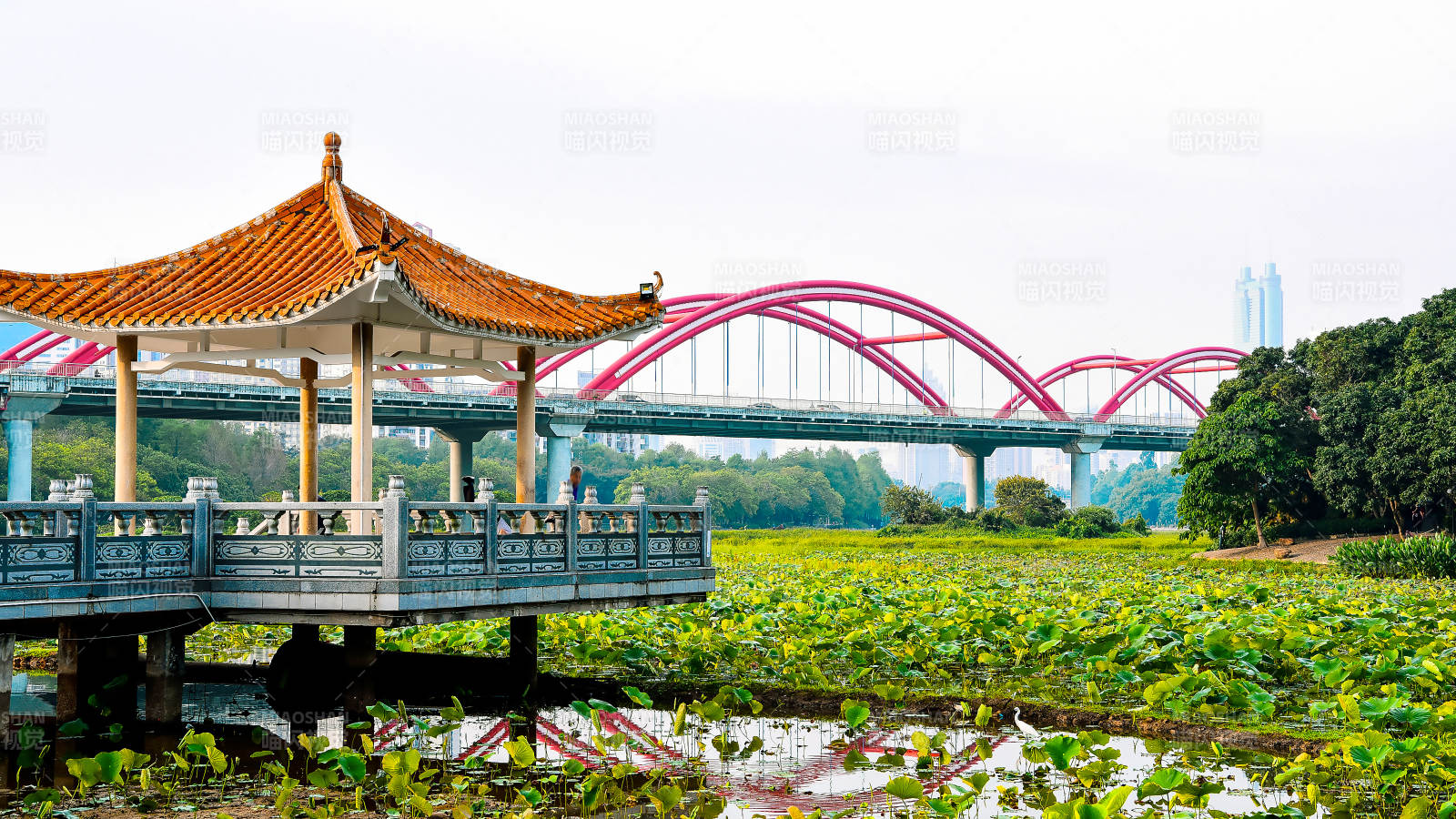 亭桥映荷塘图片