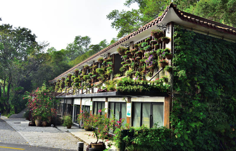 绿植环绕的庭院屋图片