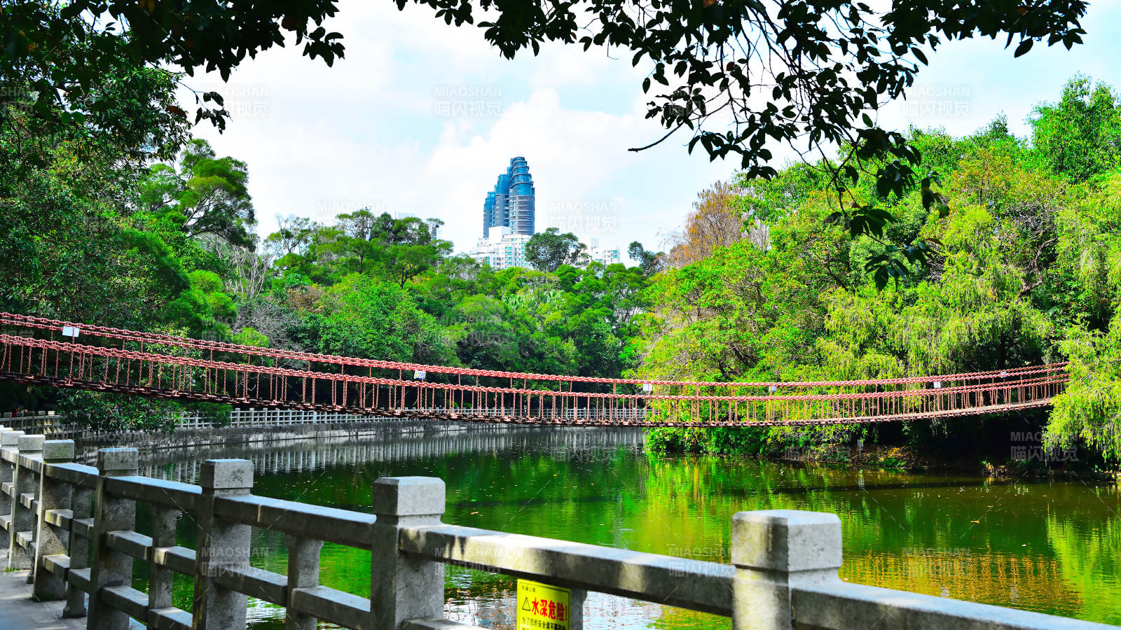 绿树成荫的湖畔桥景图片
