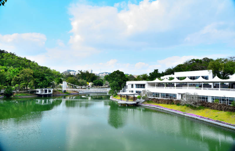 湖畔白楼映绿树图片