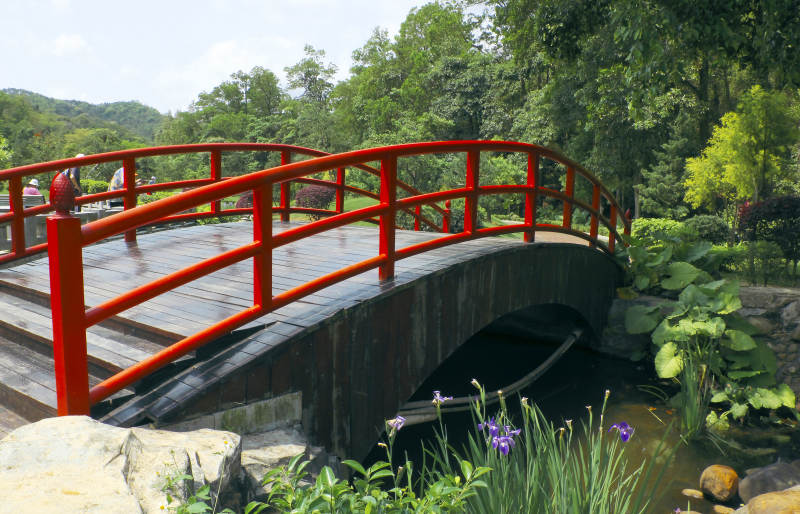 红桥流水绿意浓图片