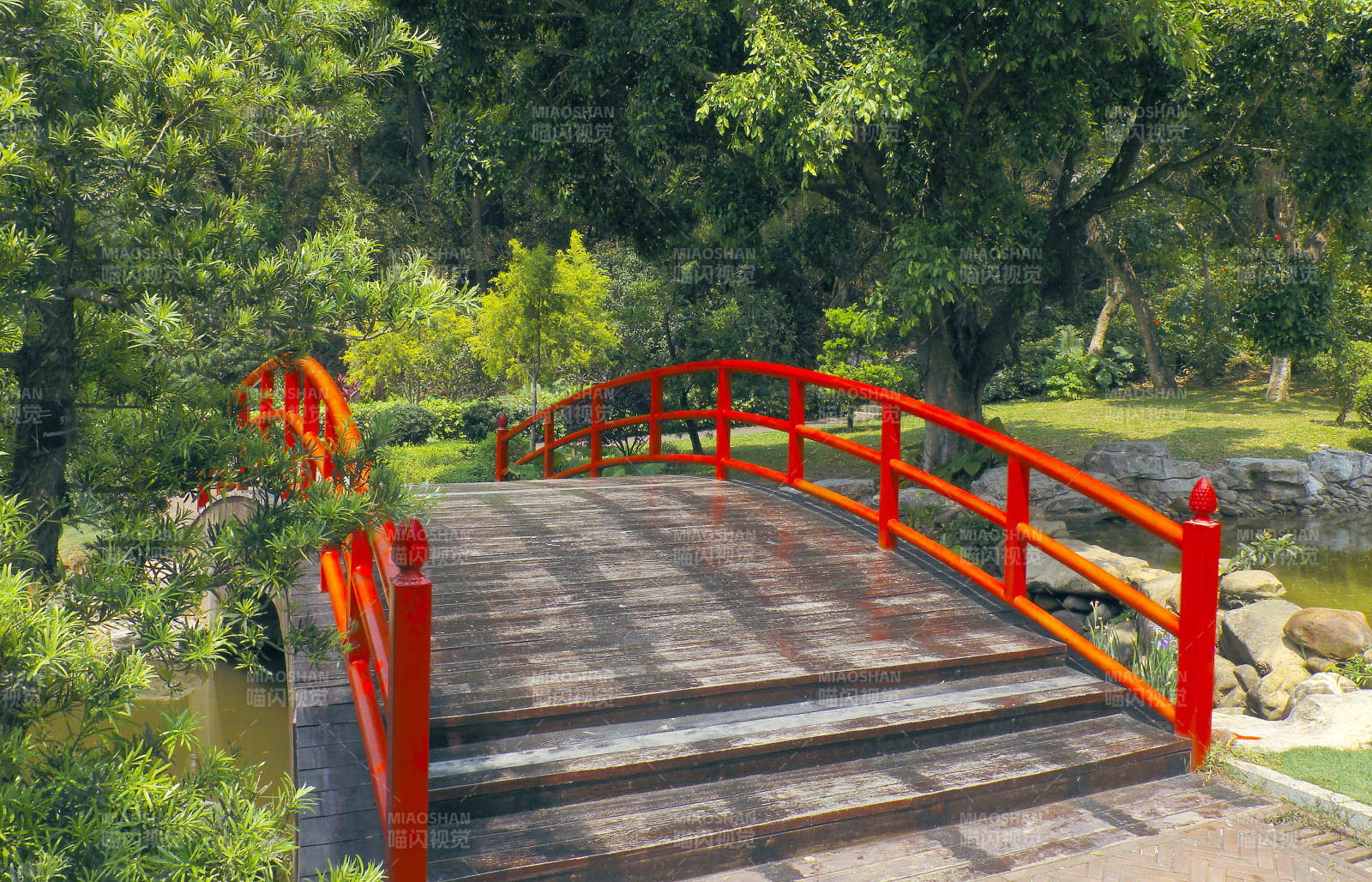 红桥绿树映池塘图片