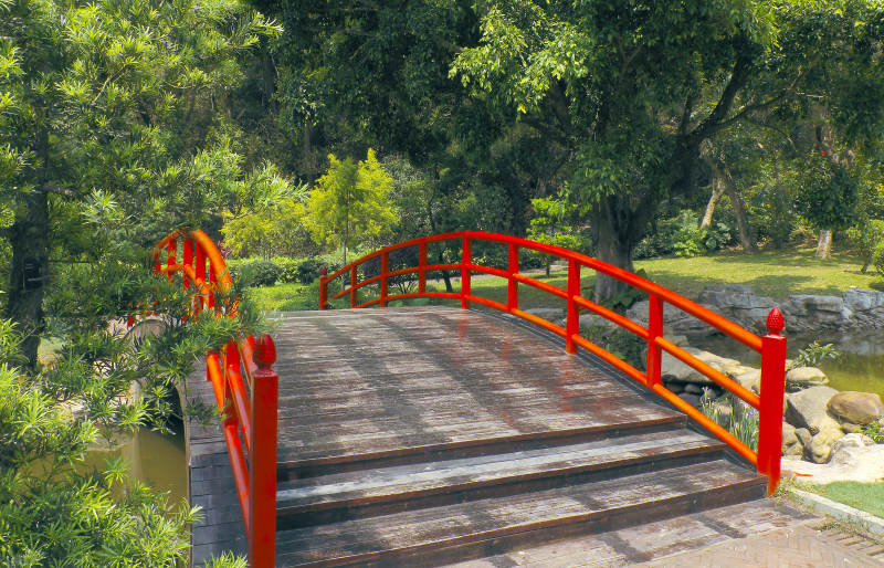 红桥绿树映池塘图片