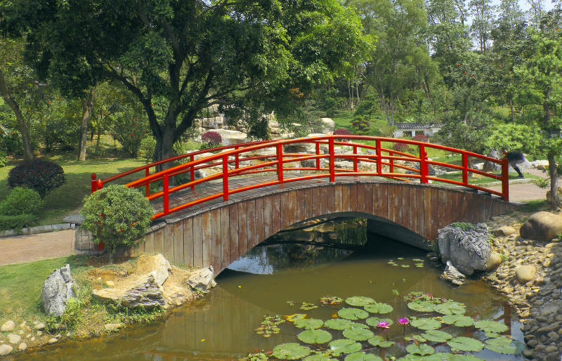 红桥碧水映绿园图片