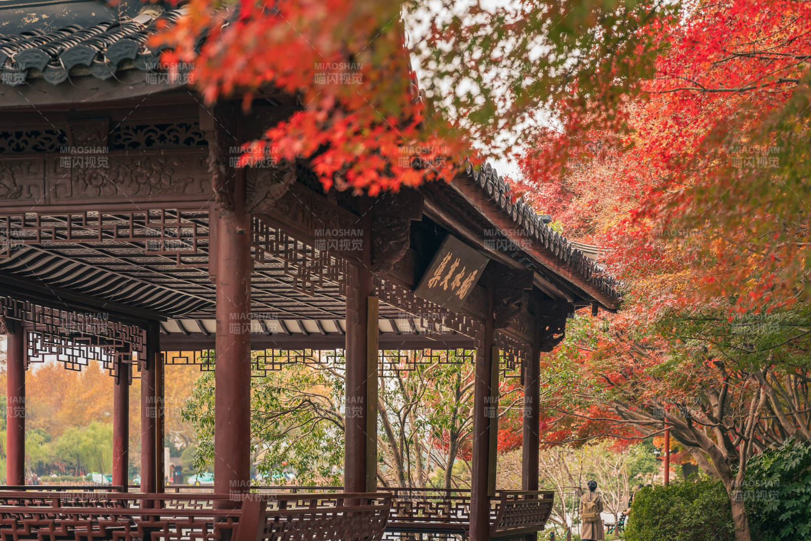 秋色中的古亭图片