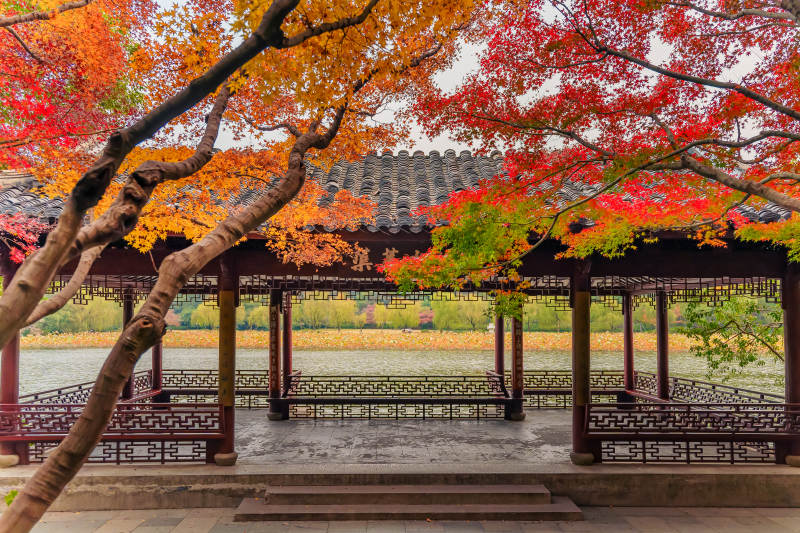 秋色映古亭图片