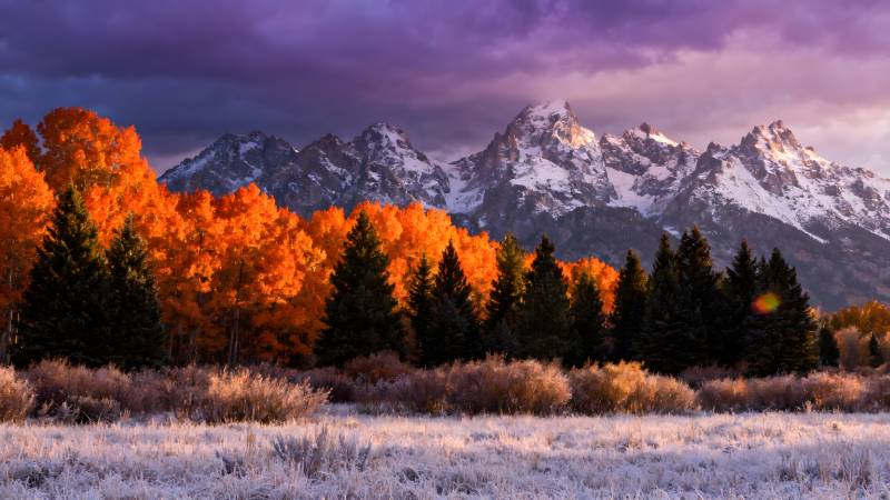 秋山雪峰映彩林图片