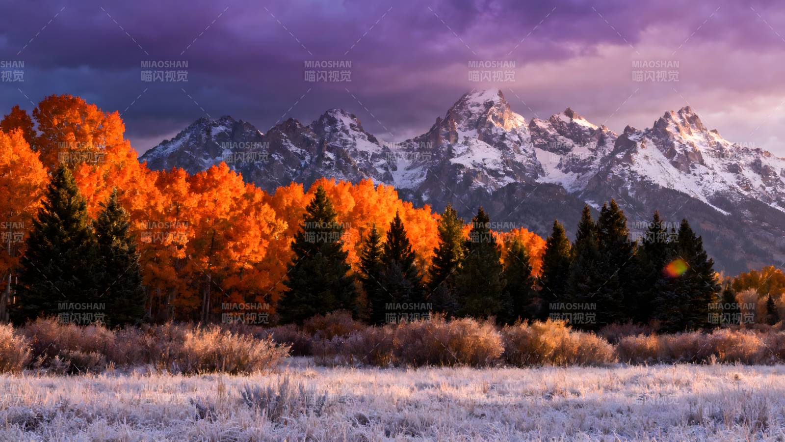 秋山雪峰映彩林图片