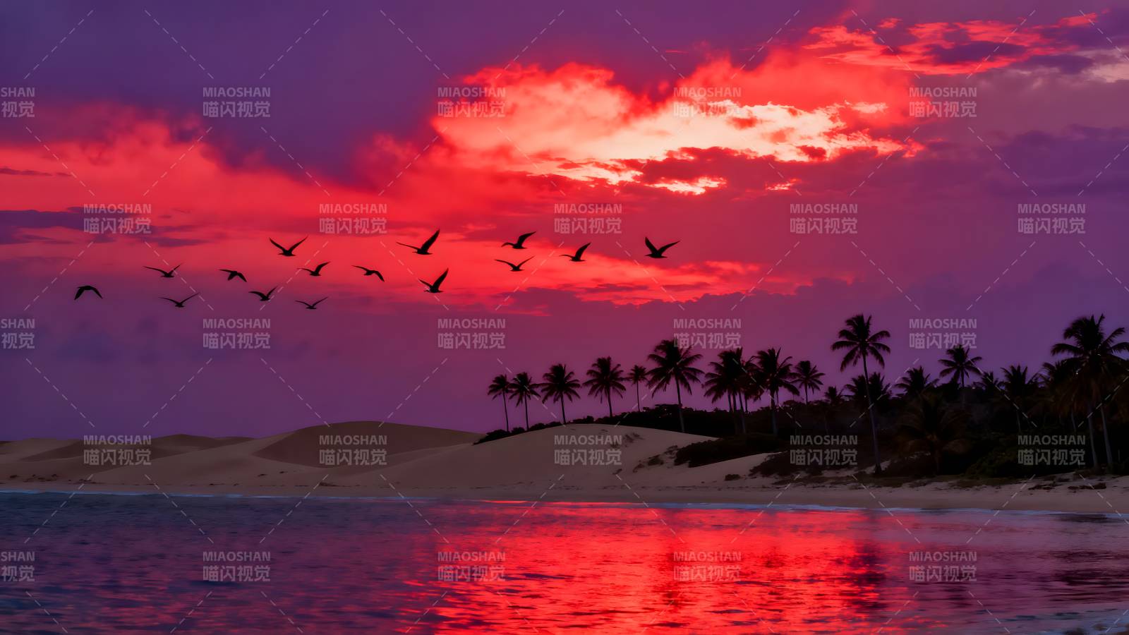 红霞映海鸟归林图片