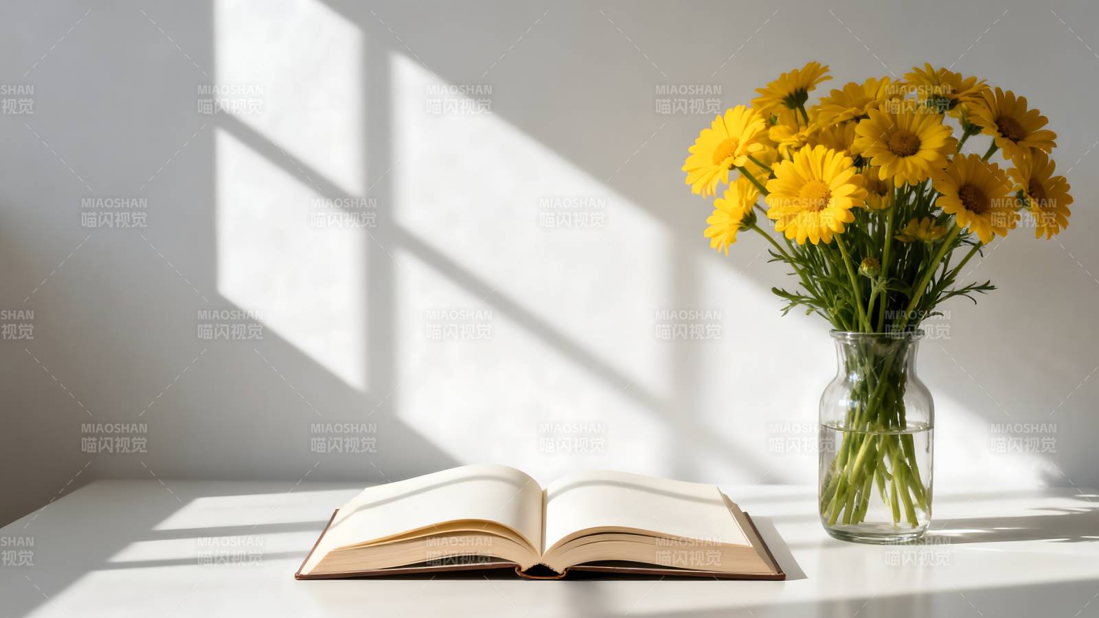 阳光下的书与花图片