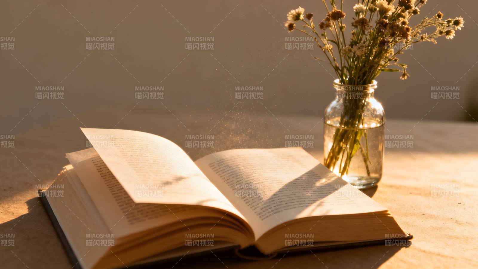 书页与花影图片