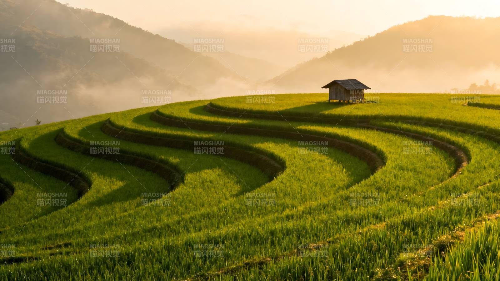梯田晨曦图片