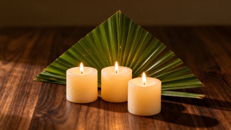 烛光与绿叶静谧相伴图片