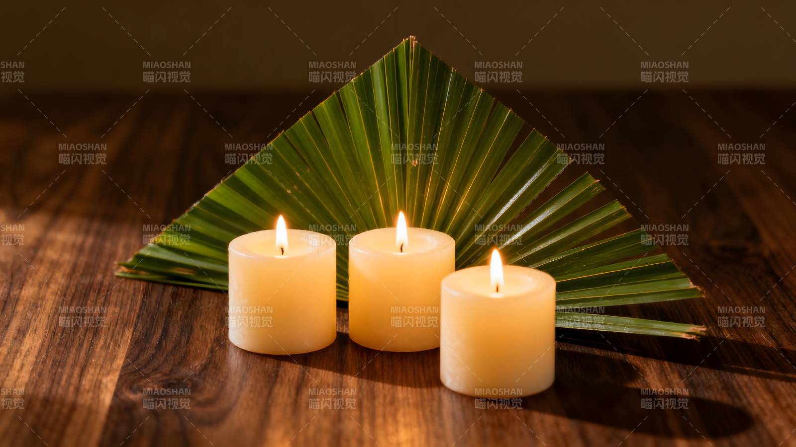 烛光与绿叶静谧相伴图片