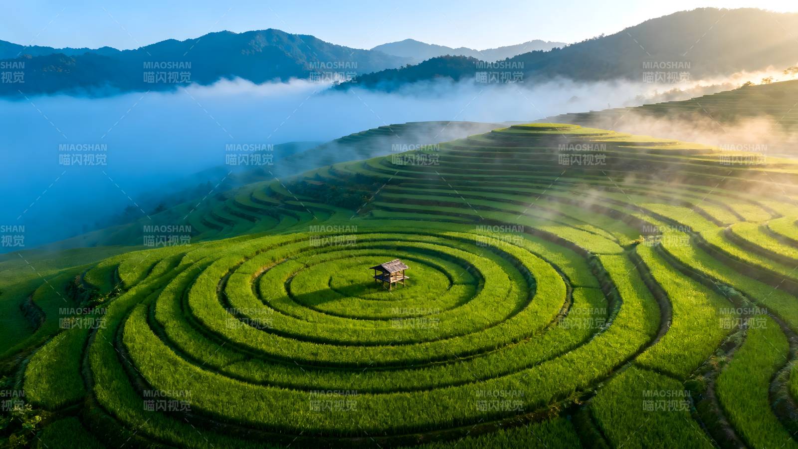梯田晨雾缭绕图片