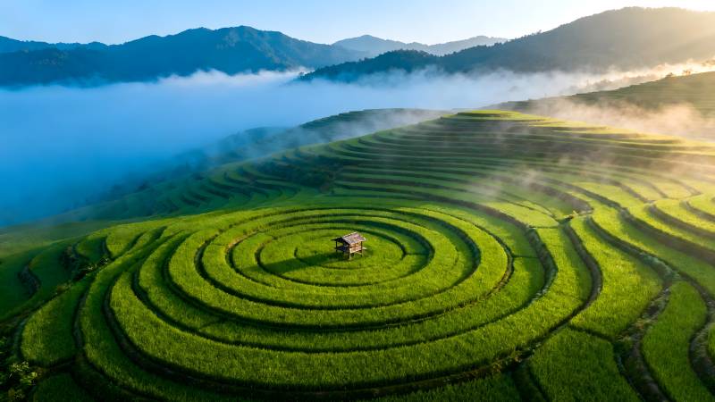 梯田晨雾缭绕图片