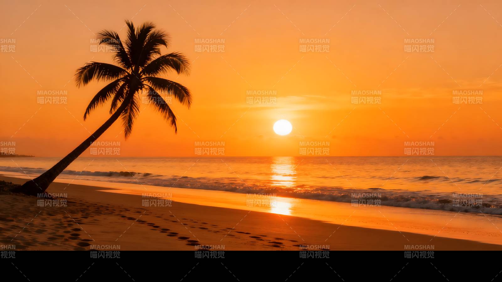 夕阳椰影海滩图片