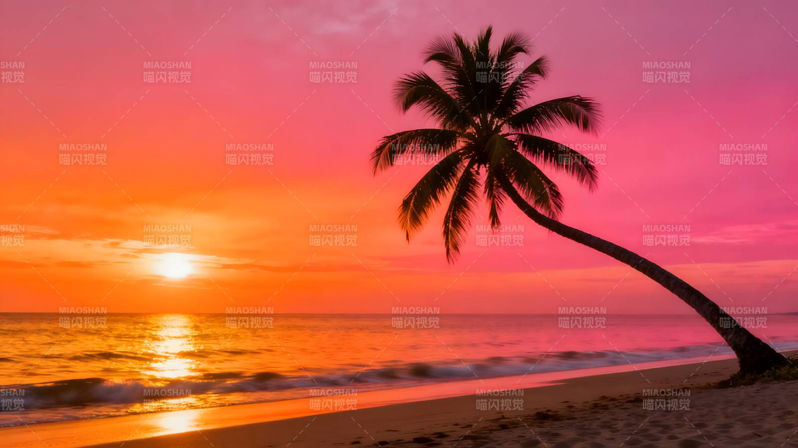 夕阳下的椰树剪影图片