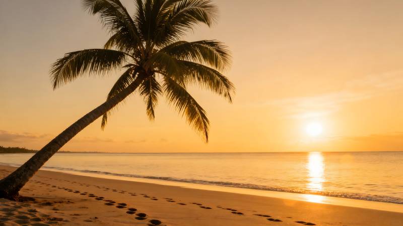 椰影夕阳海滩图片