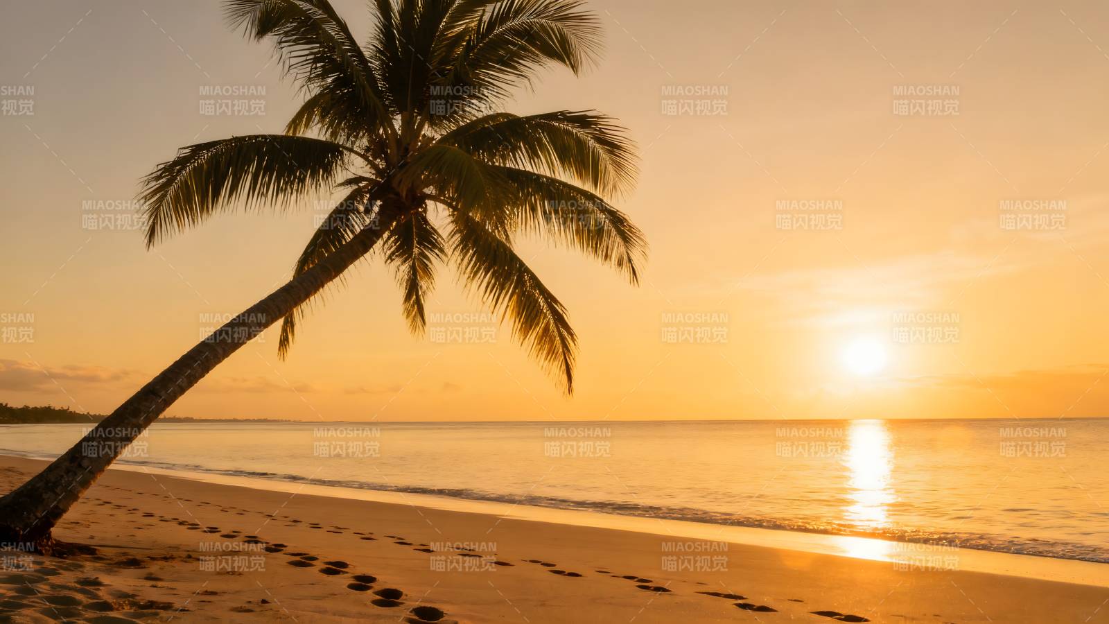 椰影夕阳海滩图片