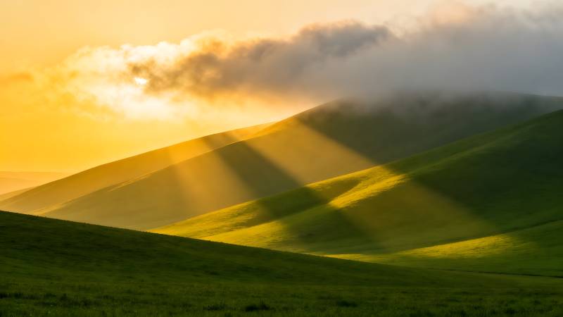 晨光洒满绿野图片