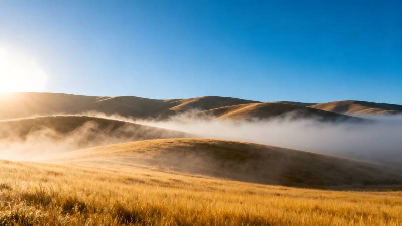 晨雾缭绕的金丘图片