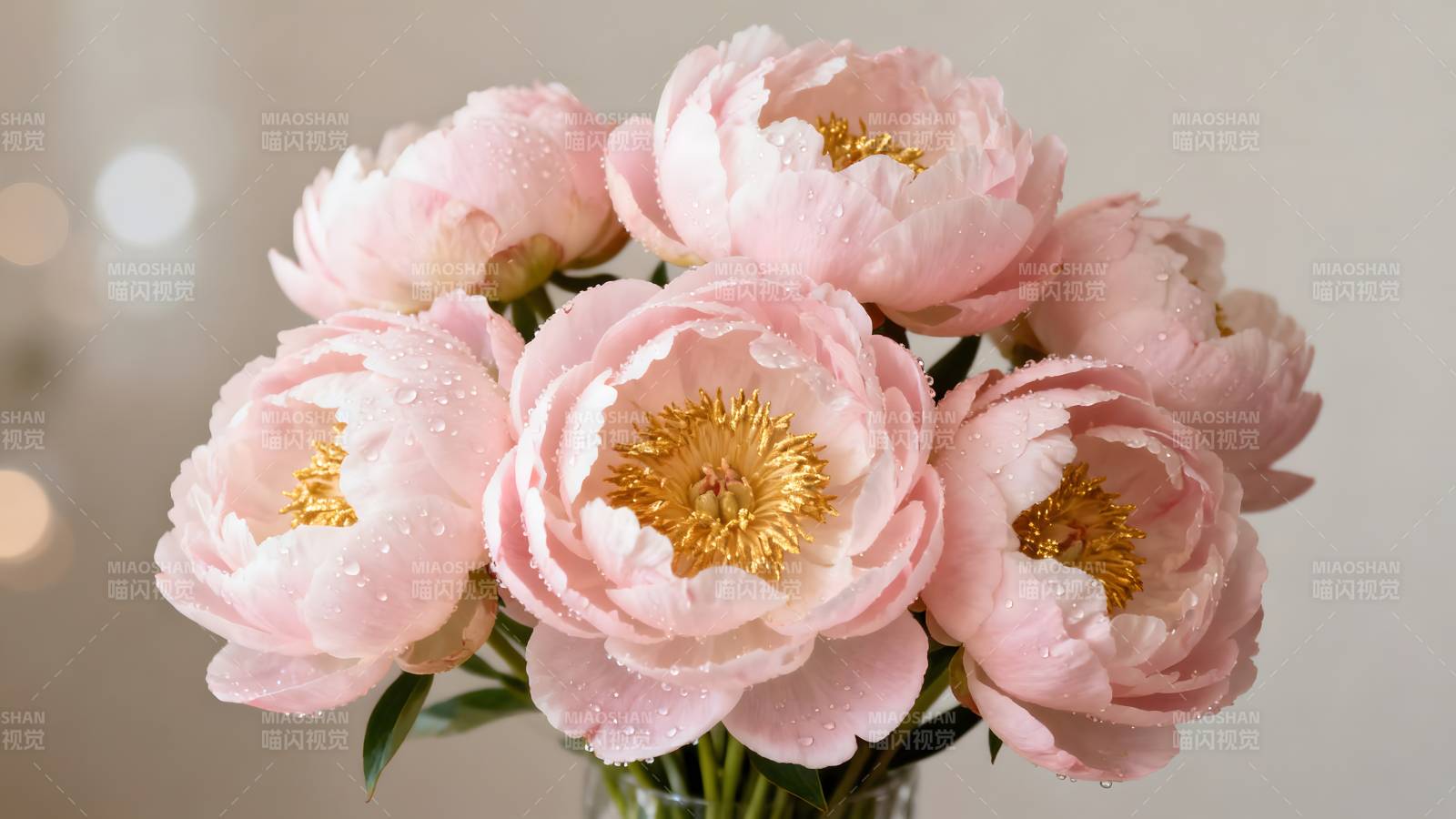 粉嫩牡丹花束图片