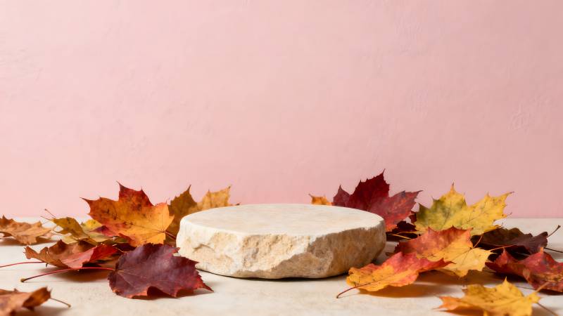 秋叶环绕的石台图片