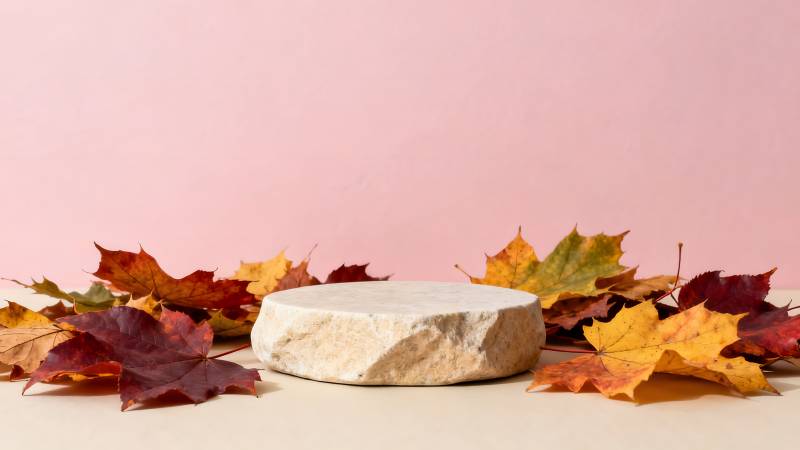 秋叶环绕的石台图片