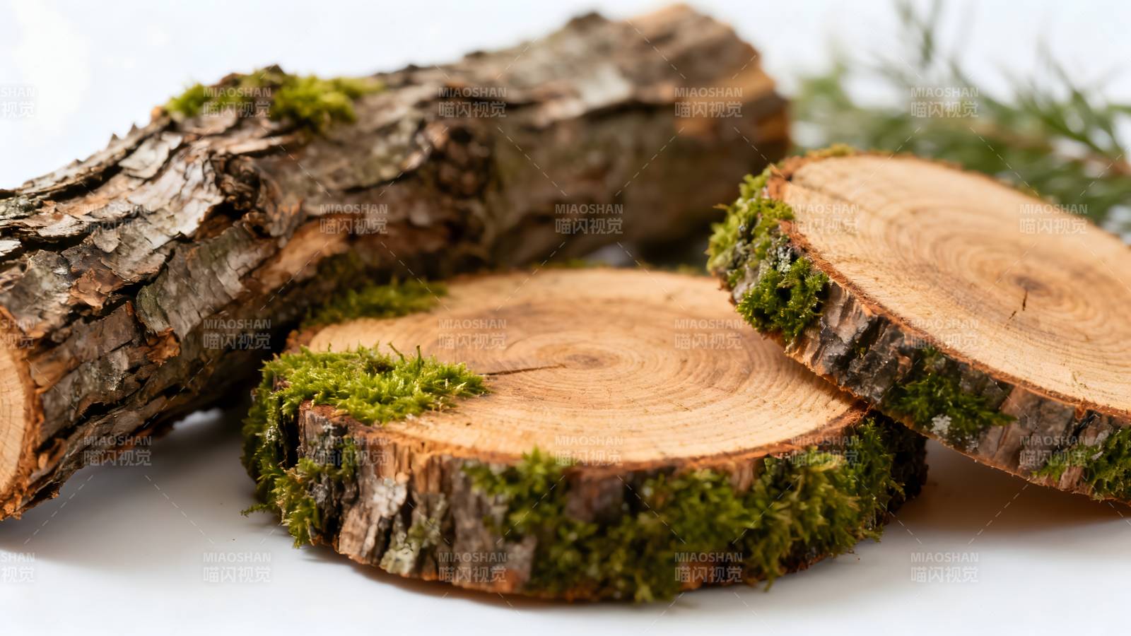 木片与青苔静物图片