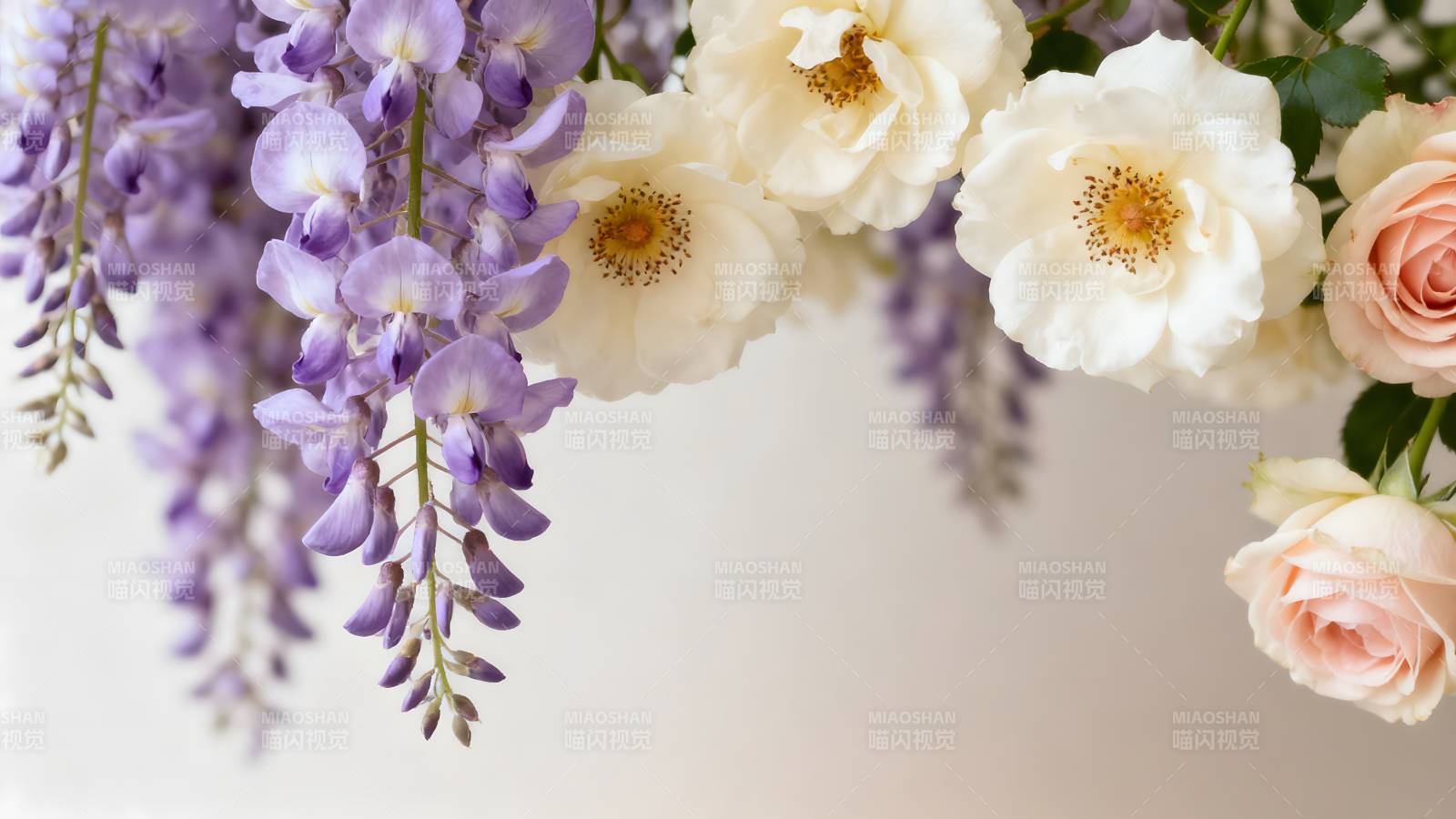 紫藤玫瑰共舞图片