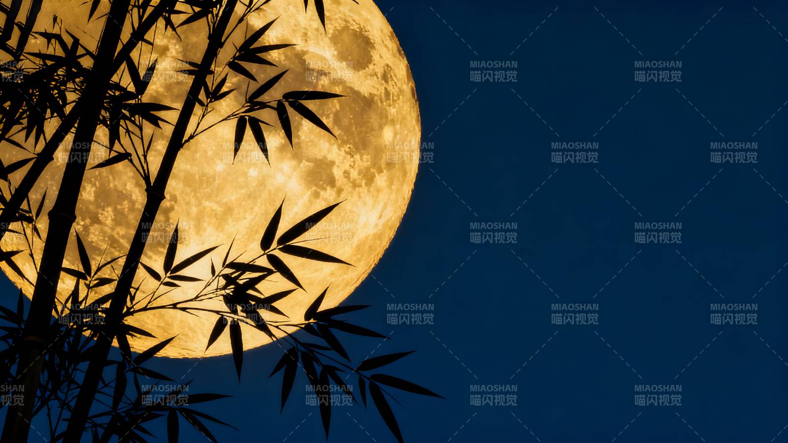 竹影映月夜图片