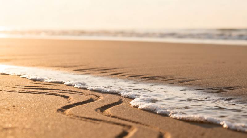 沙滩上的波浪痕迹图片