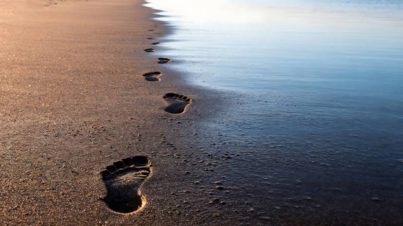 沙滩上的足迹图片